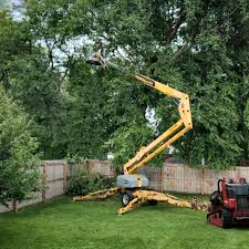 Best Firewood Processing and Delivery  in San Luis Obispo, CA