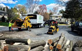 Best Commercial Tree Services  in San Luis Obispo, CA