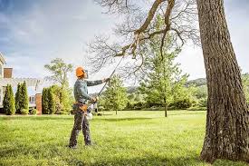 Best Leaf Removal  in San Luis Obispo, CA