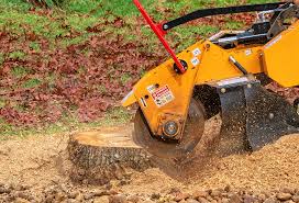 Best Tree Removal  in San Luis Obispo, CA