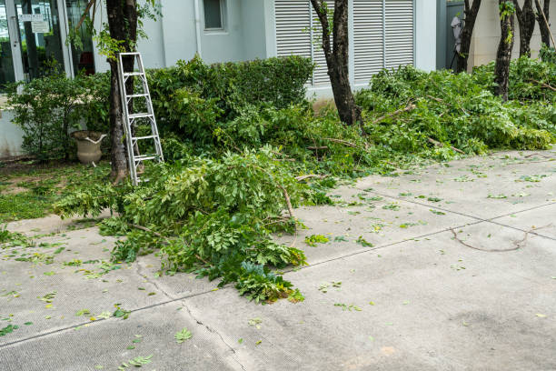 Best Weed Control  in San Luis Obispo, CA