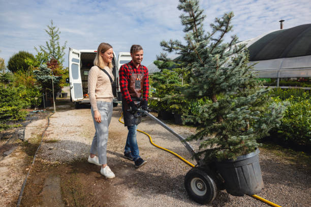 Best Lawn Watering Services  in San Luis Obispo, CA